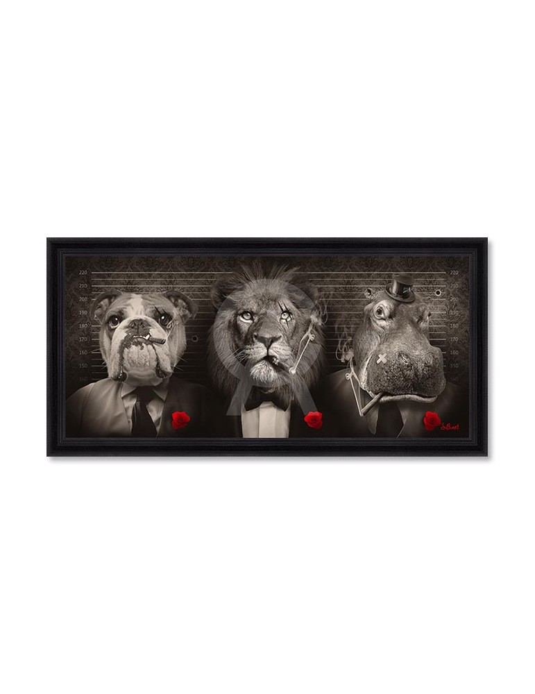 Pano Mafia – Sylvain Binet