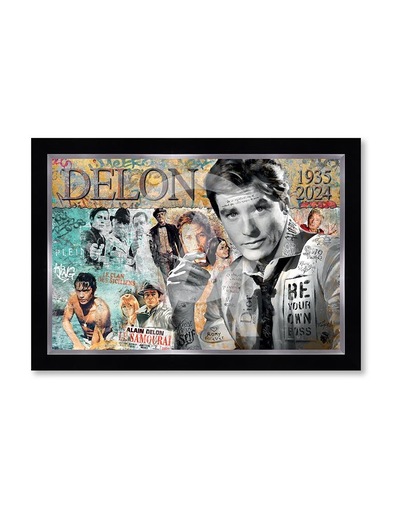 Alain Delon – Romaric