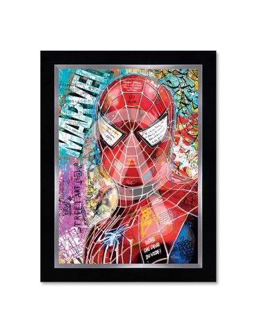Spiderman – Romaric