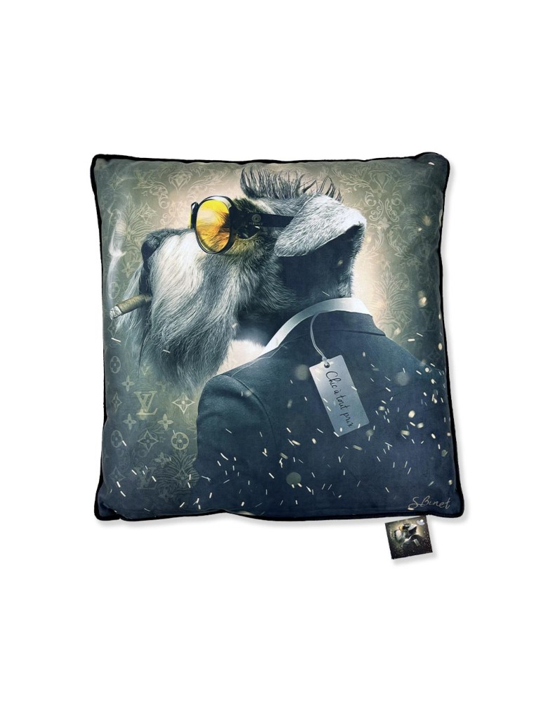 Chic à tout prix - Binet - Coussin