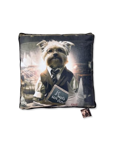 Chien École - Binet - Coussin