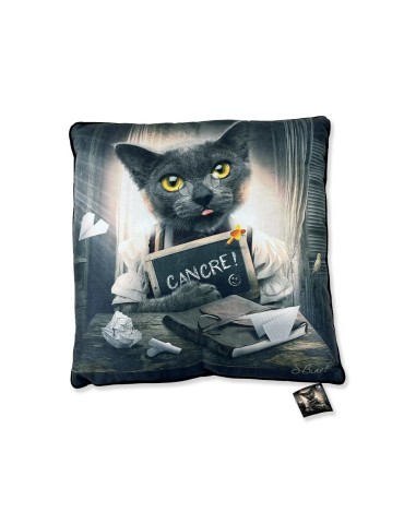 Chat Cancre - Binet - Coussin