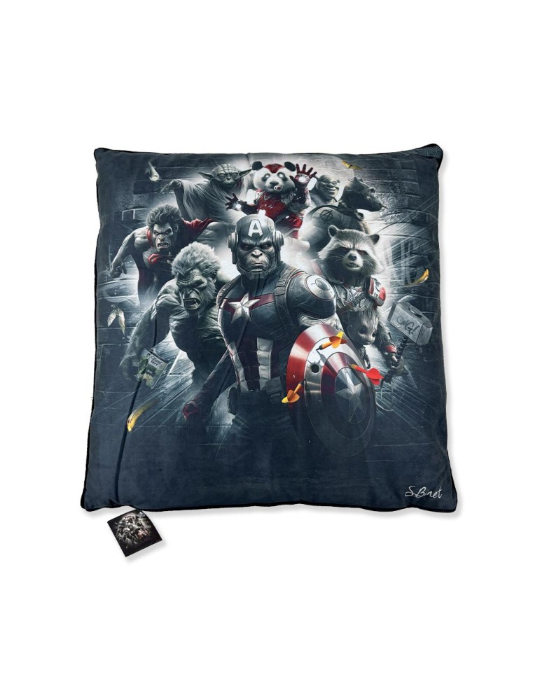 Super Héros - Binet - Coussin