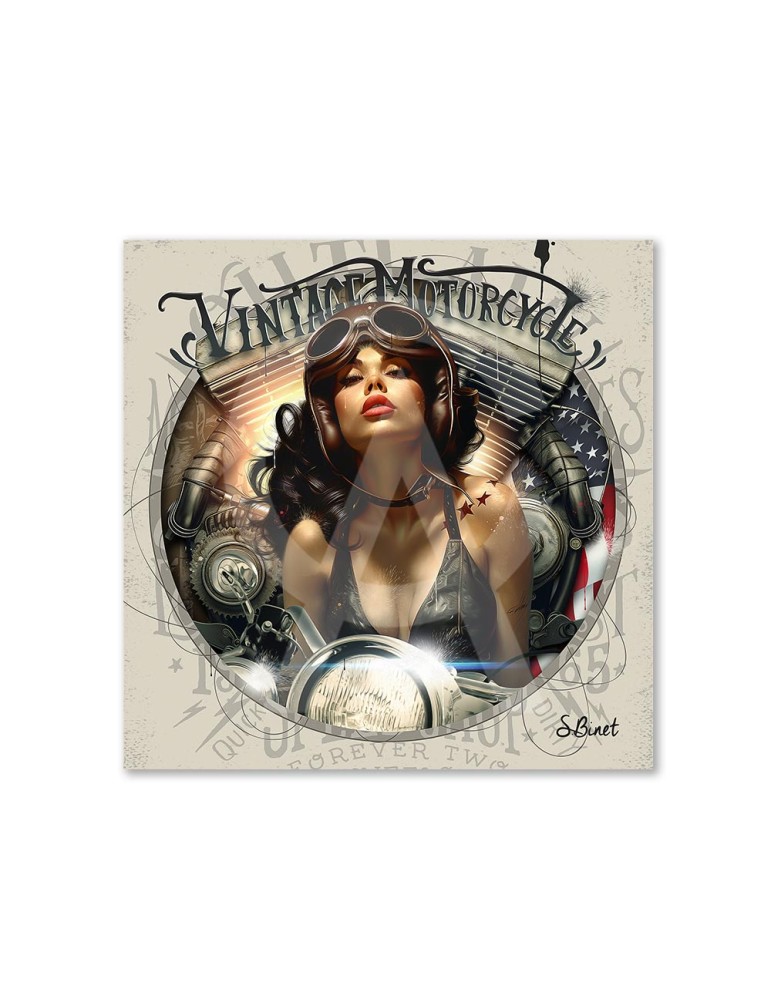 Pin Up Biker