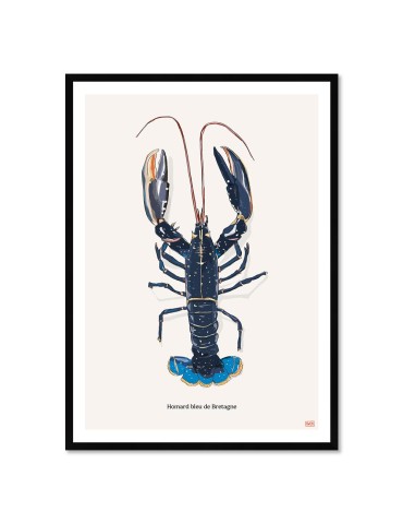 Homard – Poster affiche – image encadrée