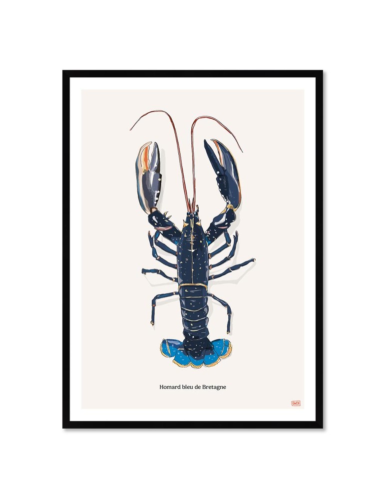 Homard – Poster affiche – image encadrée Homard – Poster affiche – image encadrée