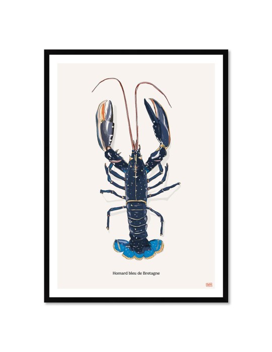 Homard – Poster affiche – image encadrée Homard – Poster affiche – image encadrée