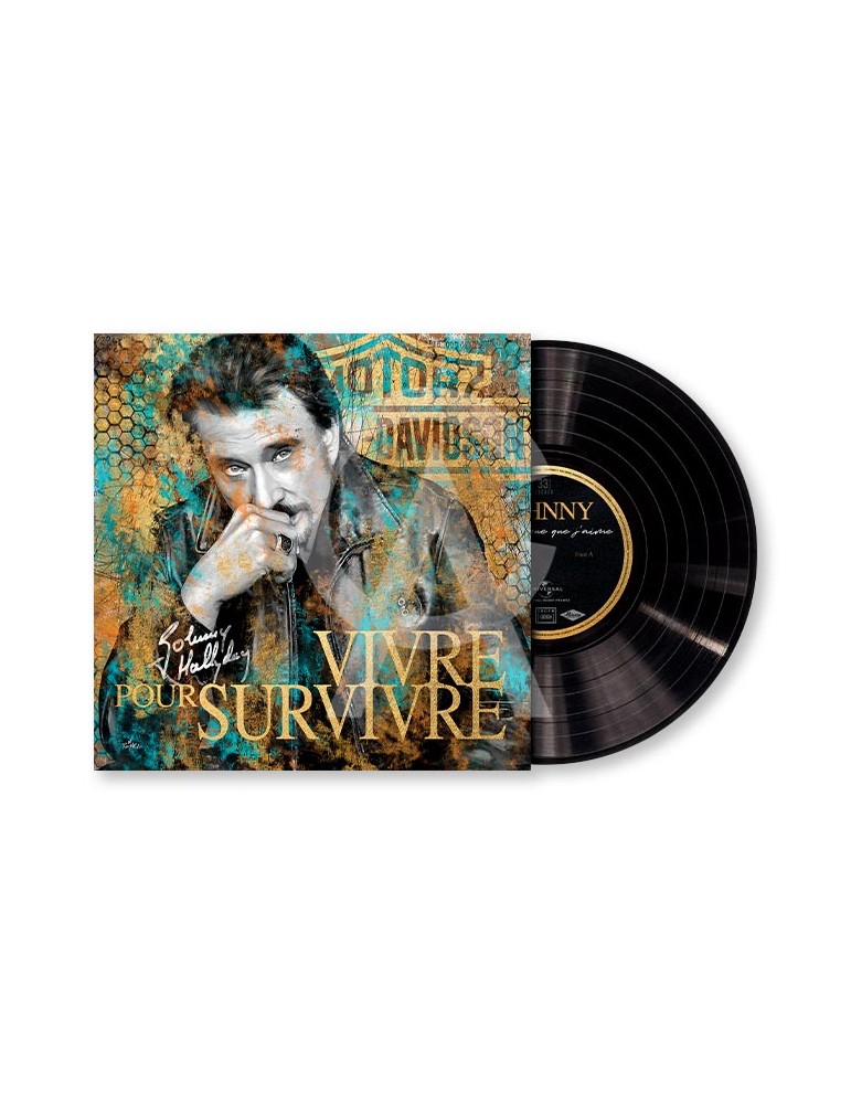 Johnny Hallyday – Romaric