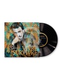 Johnny Hallyday – Romaric