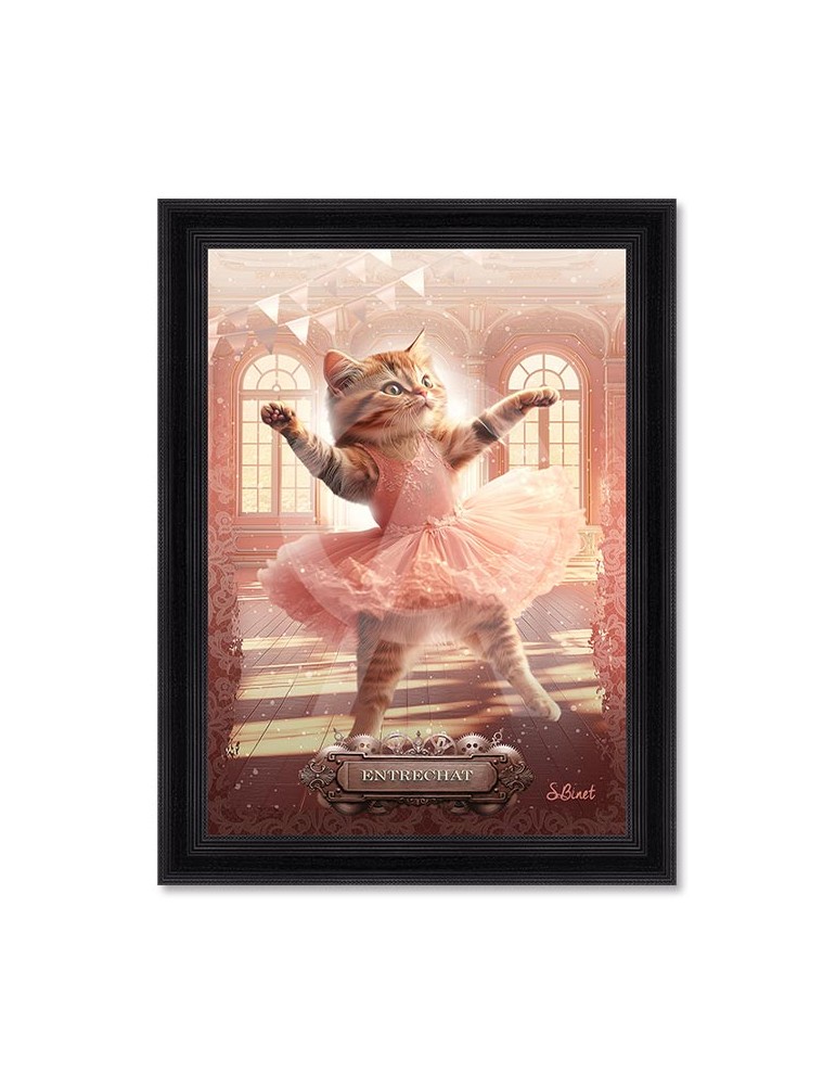 Entrechat – Sylvain Binet Entrechat – Sylvain Binet