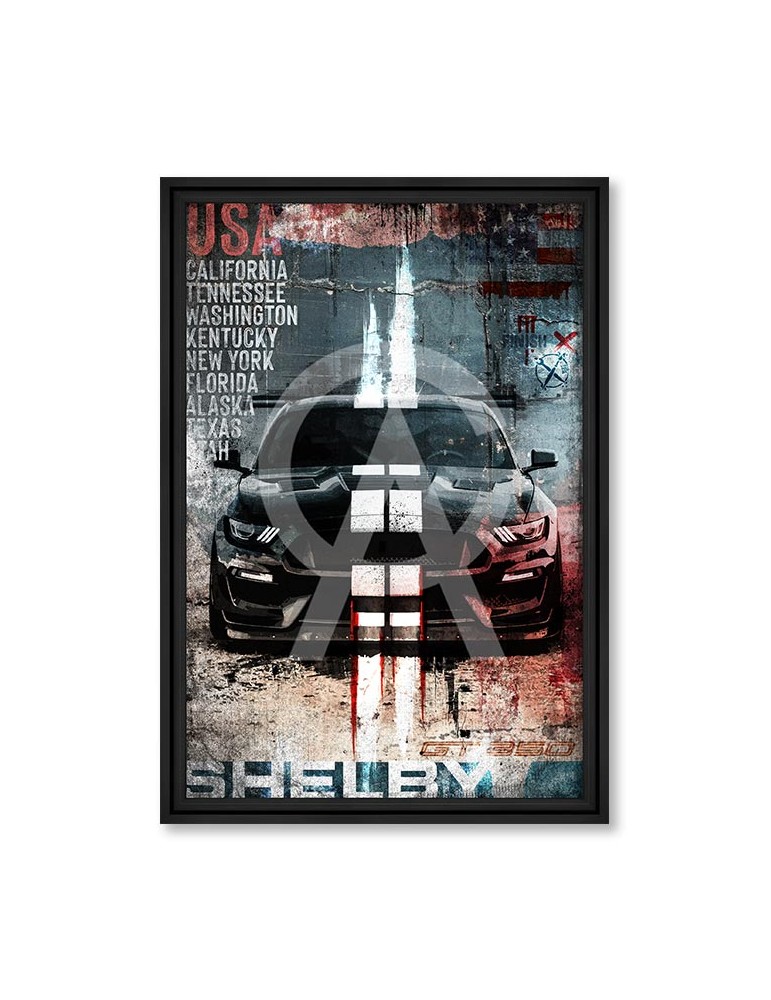 Art Shelby 350 - Collection Rubix