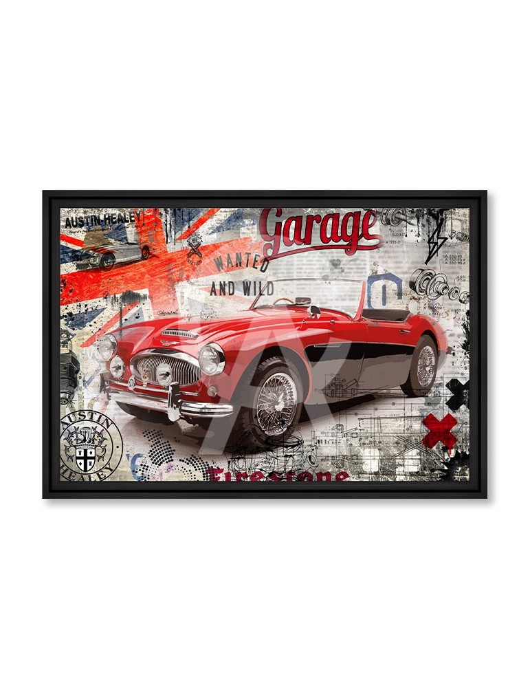 Red Austin Healey - Collection Rubix