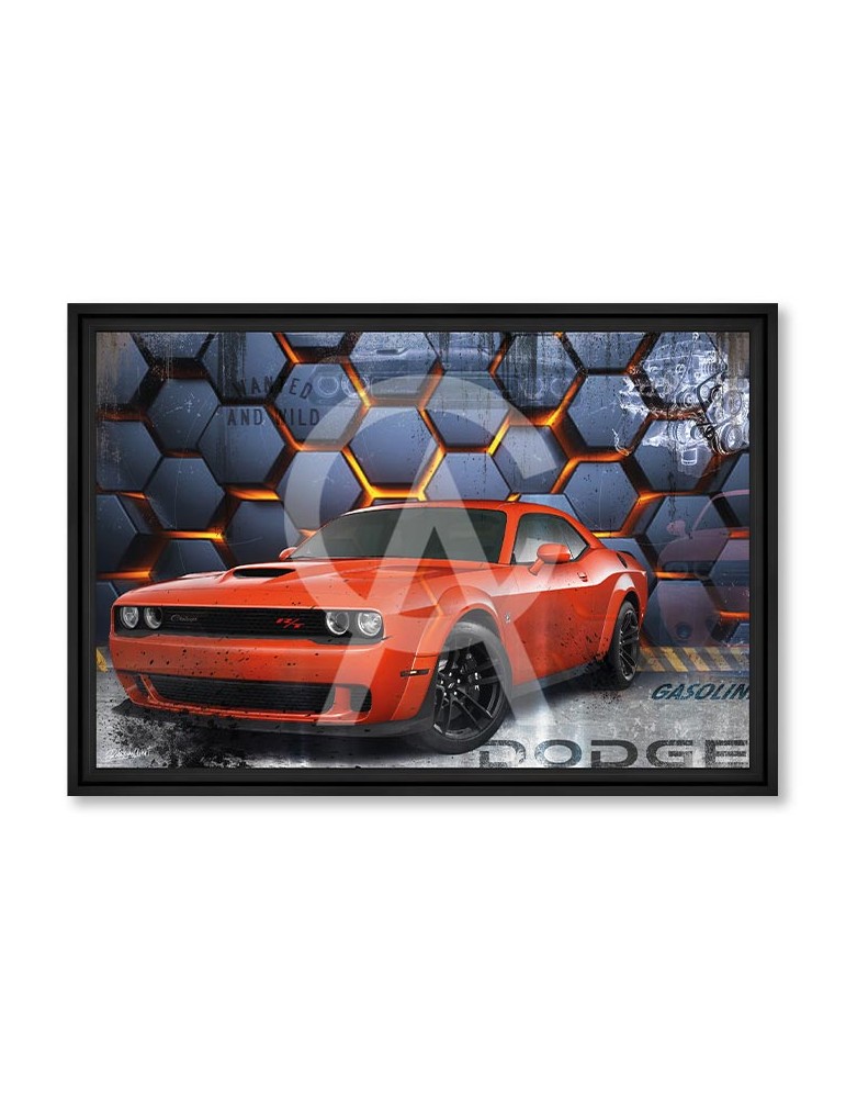 Dodge Chal 2024 - Collection Rubix