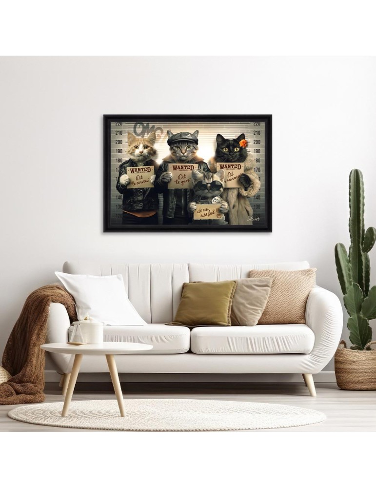 Chats voleurs – Sylvain Binet