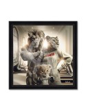 Lion Fitness – Sylvain Binet