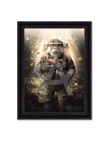 Papi Singe – Sylvain Binet