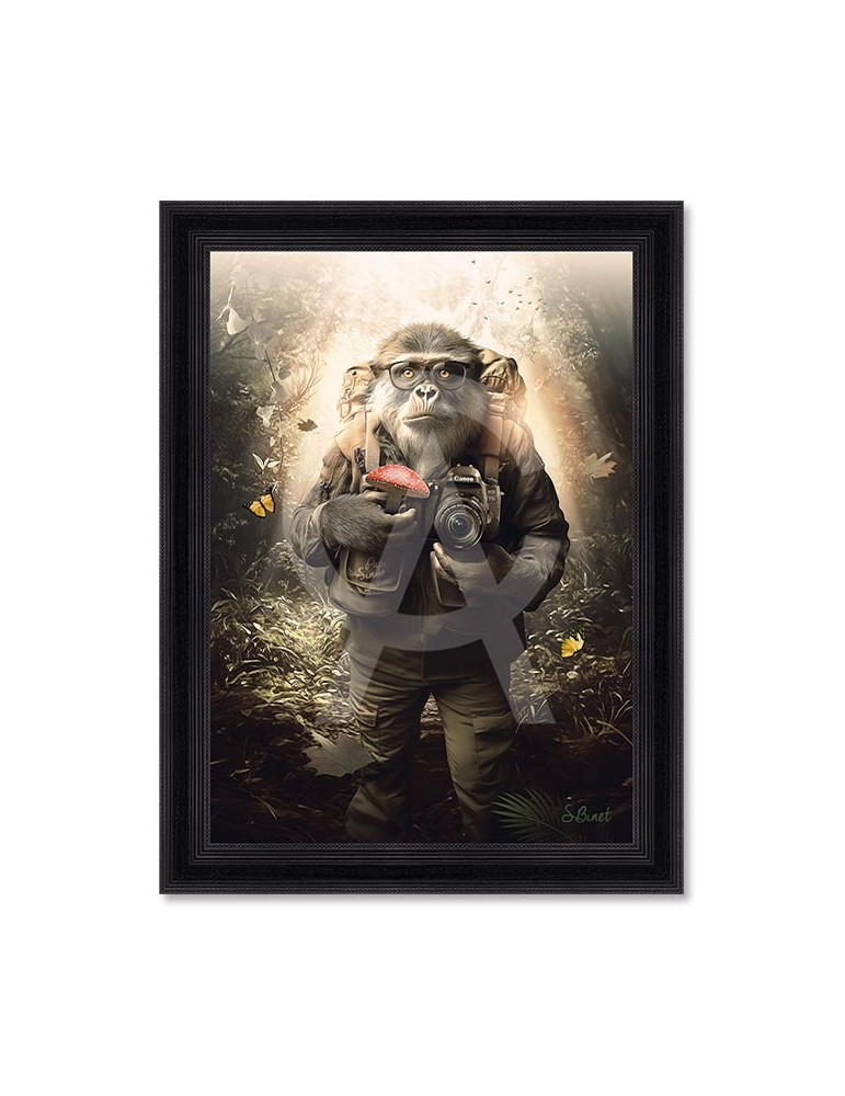 Papi Singe – Sylvain Binet