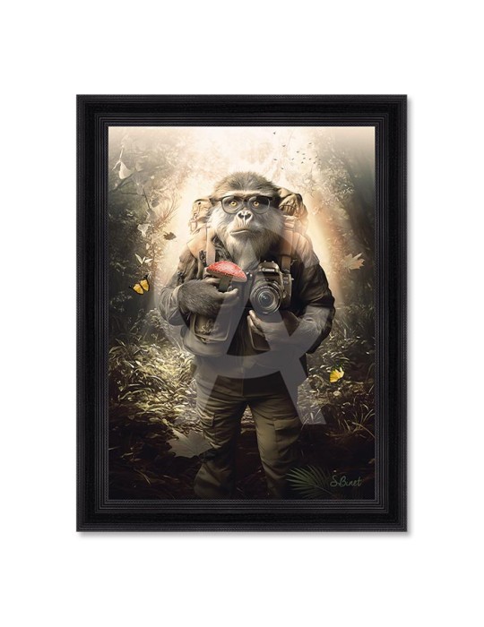 Papi Singe – Sylvain Binet