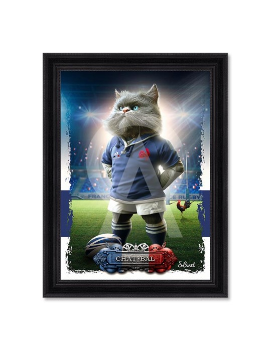 Chat-bal – Sylvain Binet Chat-bal – Sylvain Binet