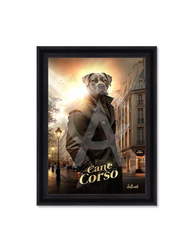 Cane Corso – Sylvain Binet Cane Corso – Sylvain Binet