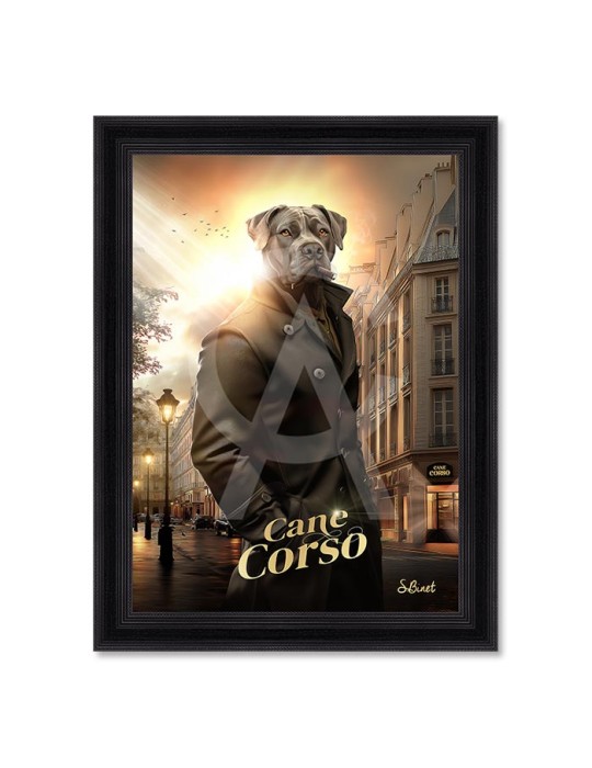 Cane Corso – Sylvain Binet Cane Corso – Sylvain Binet