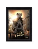 Cane Corso – Sylvain Binet