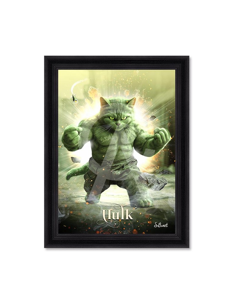 Chat Hulk – Sylvain Binet Chat Hulk – Sylvain Binet
