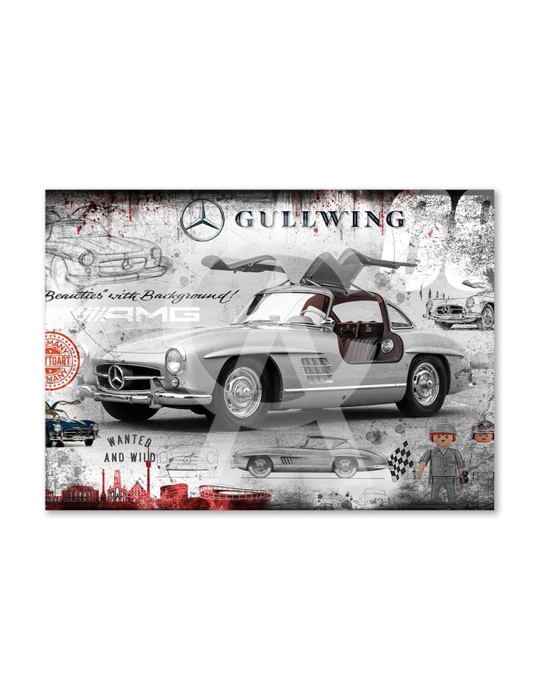 300SL Black and White