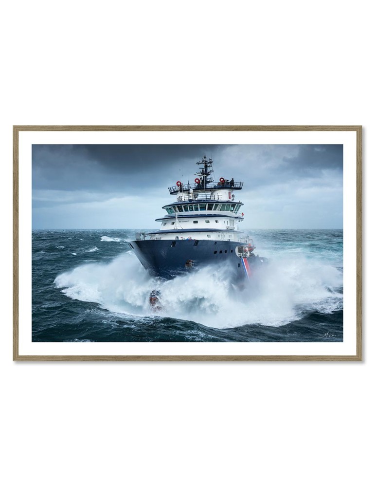 Abeille Bourbon - Tempête Ciaran 1 – Mathieu Rivrin