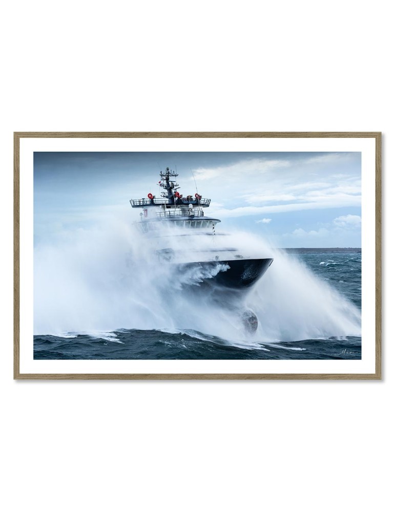 Abeille Bourbon - Tempête Ciaran 2 – Mathieu Rivrin