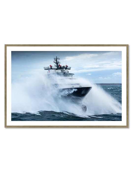 Abeille Bourbon - Tempête Ciaran 2 – Mathieu Rivrin