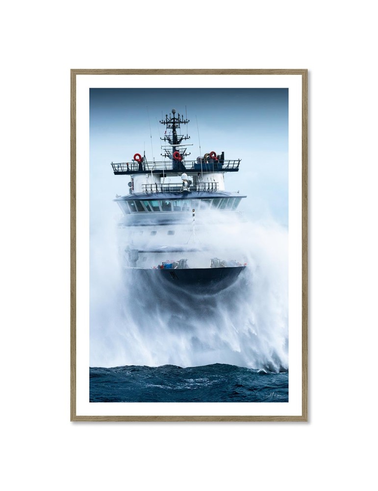 Abeille Bourbon - Tempête Ciaran 3 – Mathieu Rivrin