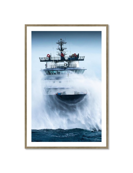 Abeille Bourbon - Tempête Ciaran 3 – Mathieu Rivrin