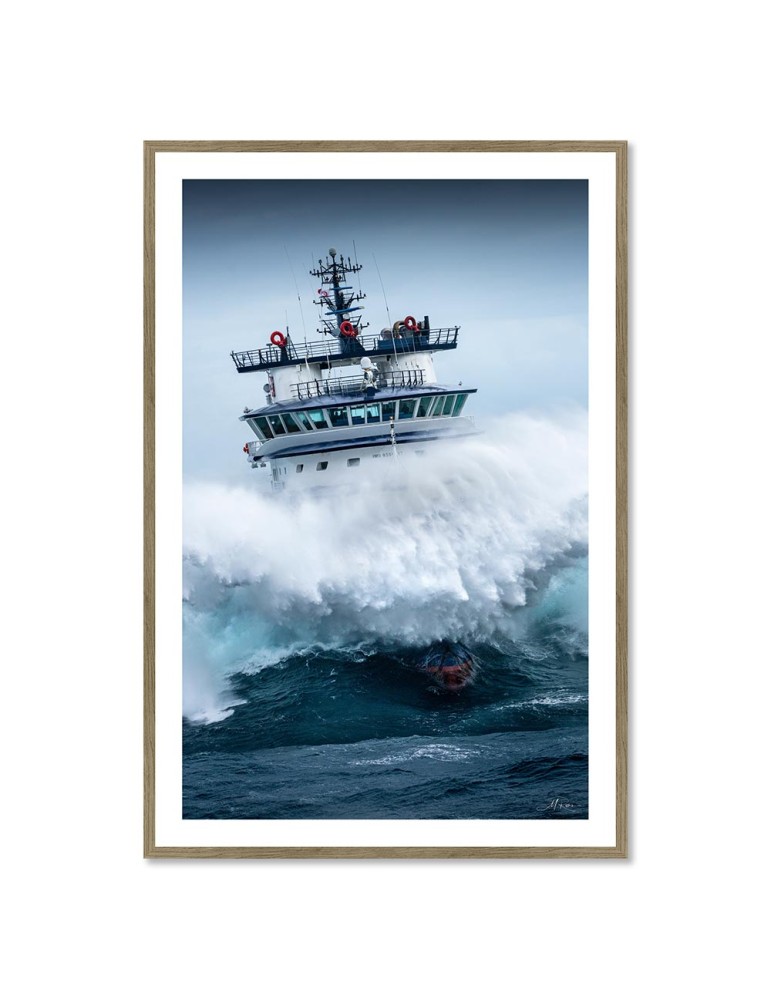 Abeille Bourbon - Tempête Ciaran 4 – Mathieu Rivrin