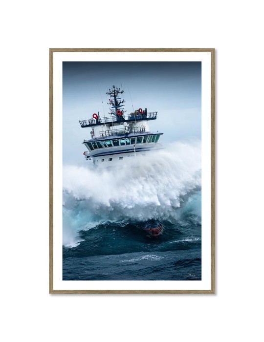 Abeille Bourbon - Tempête Ciaran 4 – Mathieu Rivrin