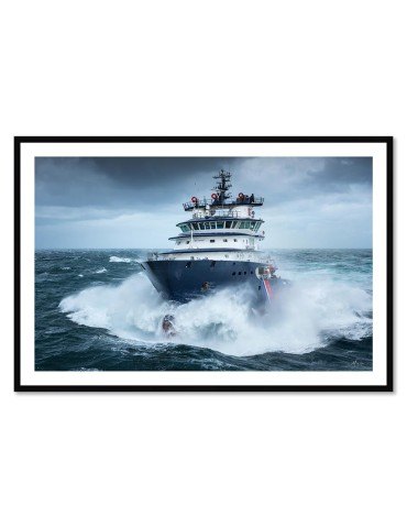 Abeille Bourbon - Tempête Ciaran 1 – Mathieu Rivrin