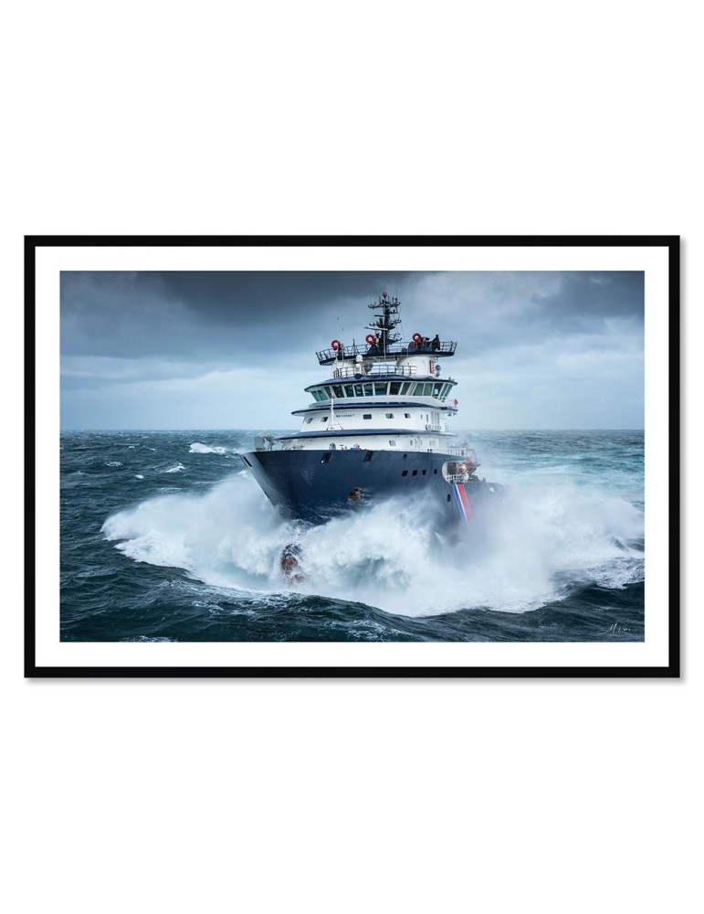 Abeille Bourbon - Tempête Ciaran 1 – Mathieu Rivrin