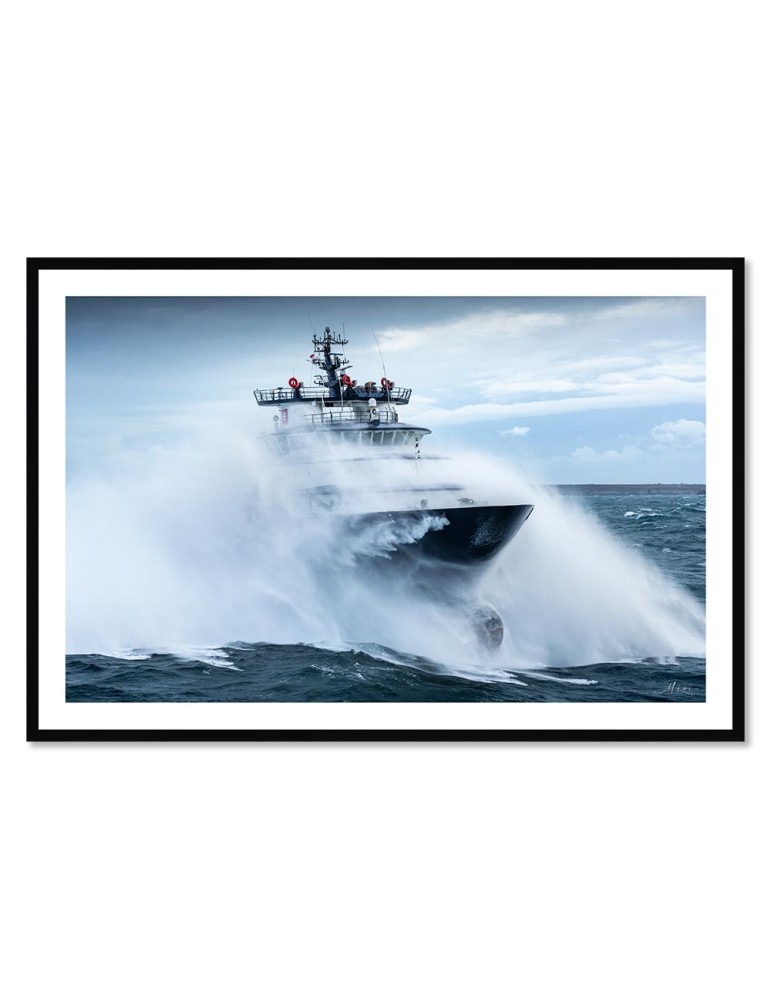 Abeille Bourbon - Tempête Ciaran 2 – Mathieu Rivrin