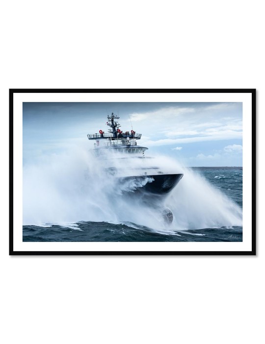 Abeille Bourbon - Tempête Ciaran 2 – Mathieu Rivrin