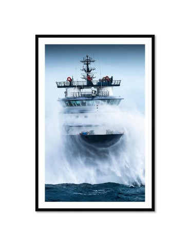 Abeille Bourbon - Tempête Ciaran 3 – Mathieu Rivrin