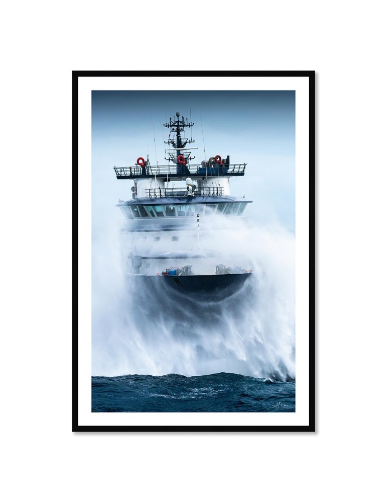 Abeille Bourbon - Tempête Ciaran 3 – Mathieu Rivrin