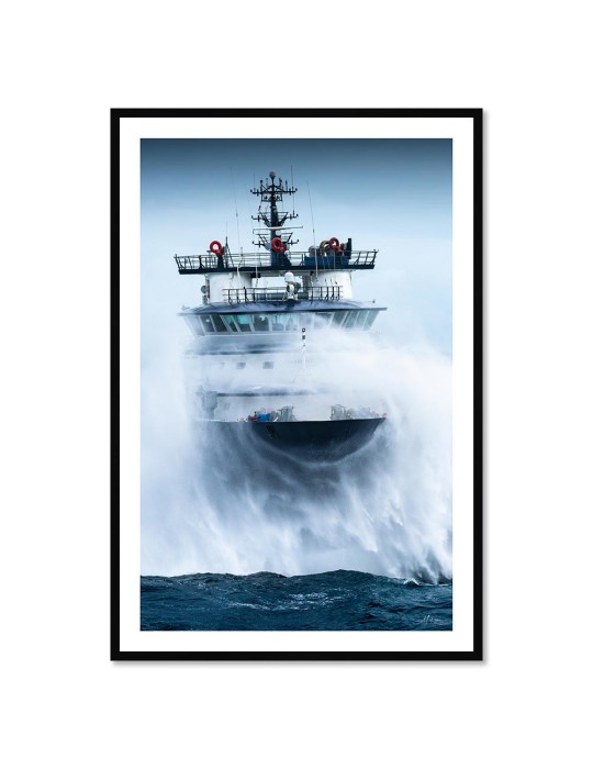 Abeille Bourbon - Tempête Ciaran 3 – Mathieu Rivrin