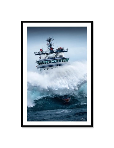 Abeille Bourbon - Tempête Ciaran 4 – Mathieu Rivrin