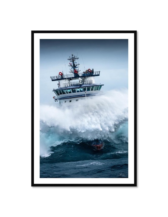 Abeille Bourbon - Tempête Ciaran 4 – Mathieu Rivrin