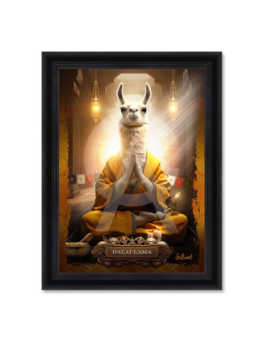 Dalaï-Lama – Sylvain Binet