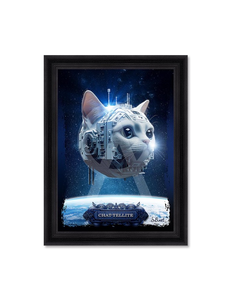 Chat-Tellite – Sylvain Binet Chat-Tellite – Sylvain Binet