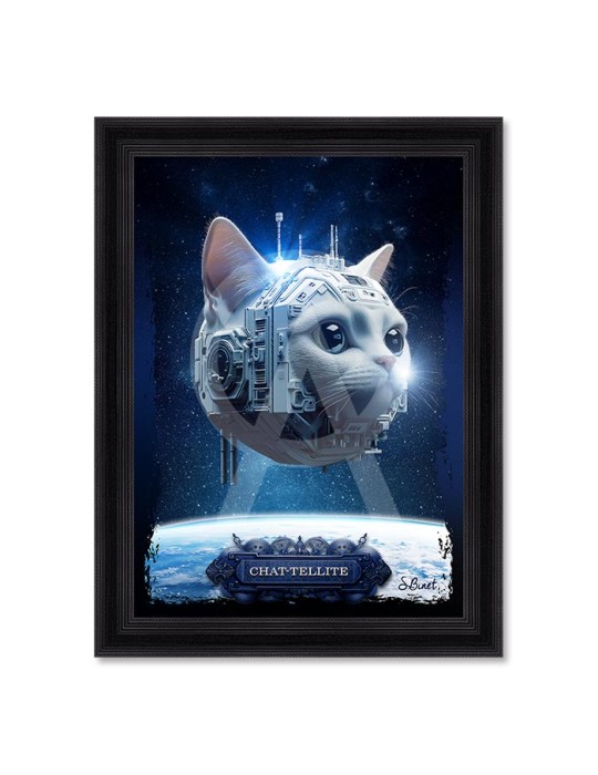 Chat-Tellite – Sylvain Binet Chat-Tellite – Sylvain Binet