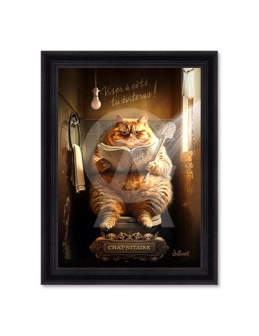 Chat-Nitaire – Sylvain Binet