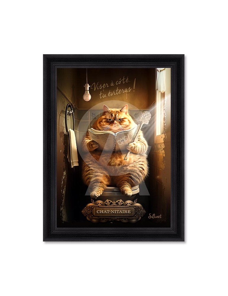 Chat-Nitaire – Sylvain Binet Chat-Nitaire – Sylvain Binet