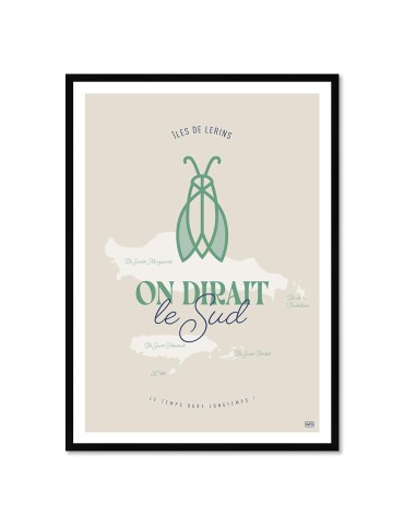 Cigale – Poster affiche – image encadrée